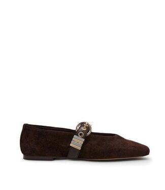 Steve Madden Lucia Brown Suede Ballerina
