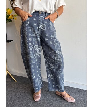 Paisley Print Washed Pant