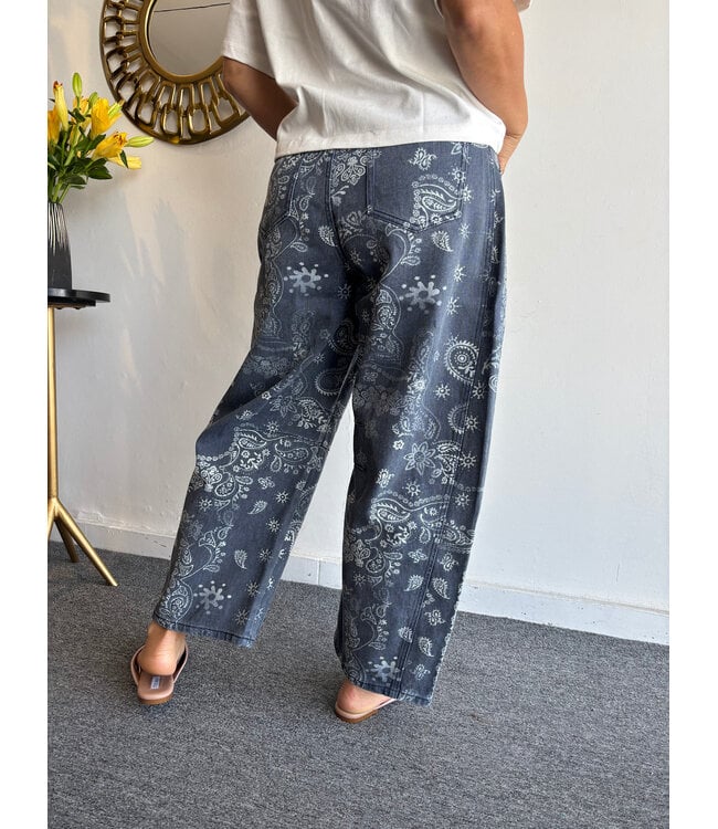 Paisley Print Washed Pant