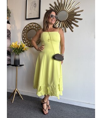 3D Floral Applique Midi Dress