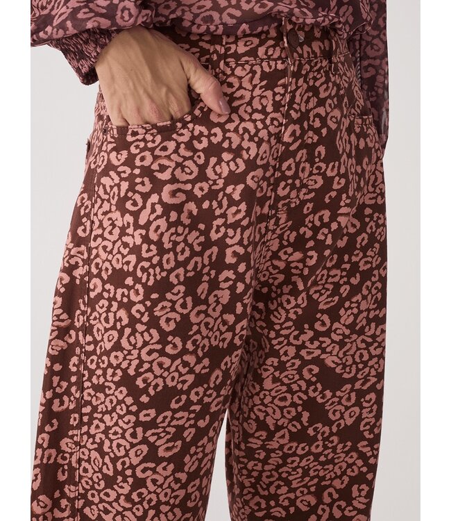 Brown Felina Printed Straight Pants