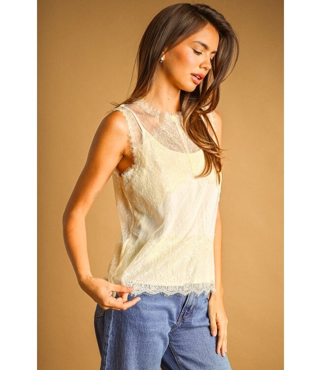 Lace & Sheer Top