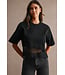 Jersey Lace Contrast Detail  Top