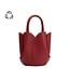 Tulip Mini Red