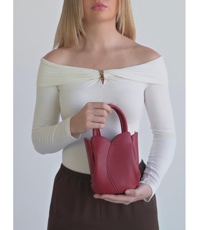 Tulip Mini Red