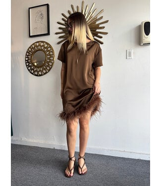 Short Sleeve Feather Trim Satin Mini Dress