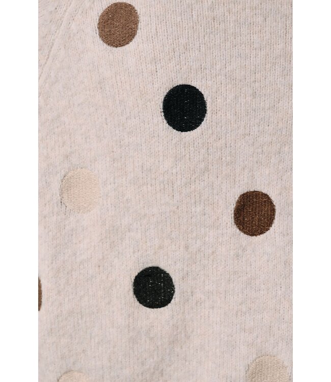 Polka Dot Sweater