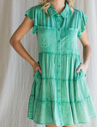 Lucky button up dress