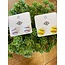 The Uptown Peach Sporty Earrings