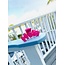 Classic Hair Clip- Medium