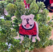 Bulldog Brooch Bulldog Brooch