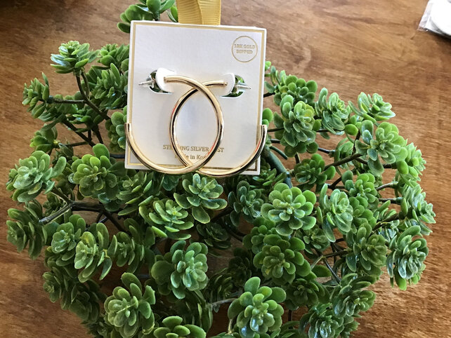 Sterling Silver Hoops