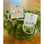 The Uptown Peach Francesca Flat Tube Hoops