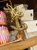 Gold Starfish Claw Clip