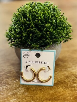 Georgia’s Gold Hoops