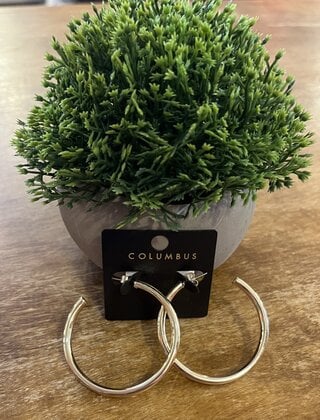 Medium Gold Hoops