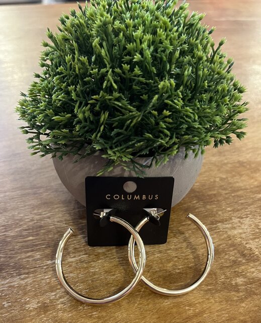 Medium Gold Hoops