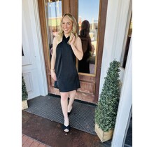 Black Swan Mini Dress