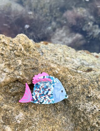 Fish Claw Hair Clip