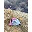The Uptown Peach Fish Claw Hair Clip
