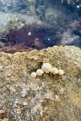 Shell Linked Claw Hair Clip