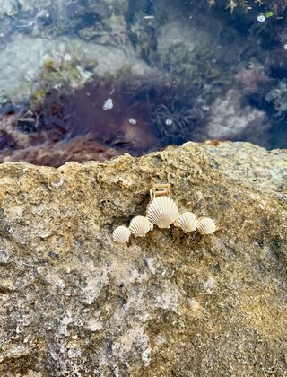 Shell Linked Claw Hair Clip
