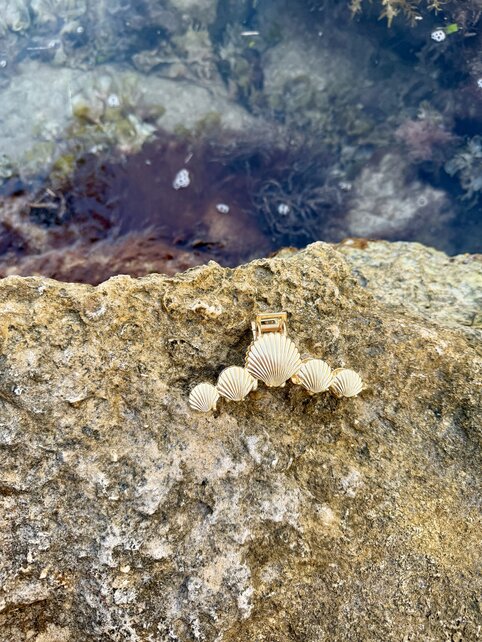 Shell Linked Claw Hair Clip