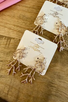 Coral Reef Studs