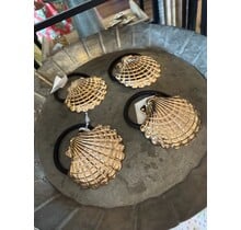 Shell Hair Pony Tail Holder