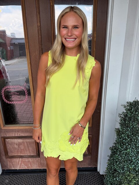 Lime Sorbet Dress