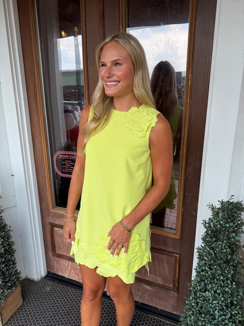 Lime Sorbet Dress
