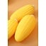 Corn Squishy