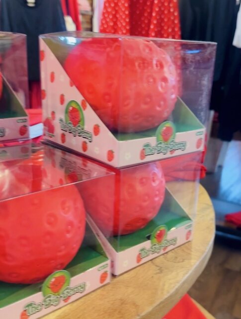 The Big Berry Squishy