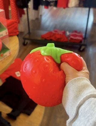 The Big Berry Squishy