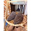 The Uptown Peach Mocha Moment Studded Mules