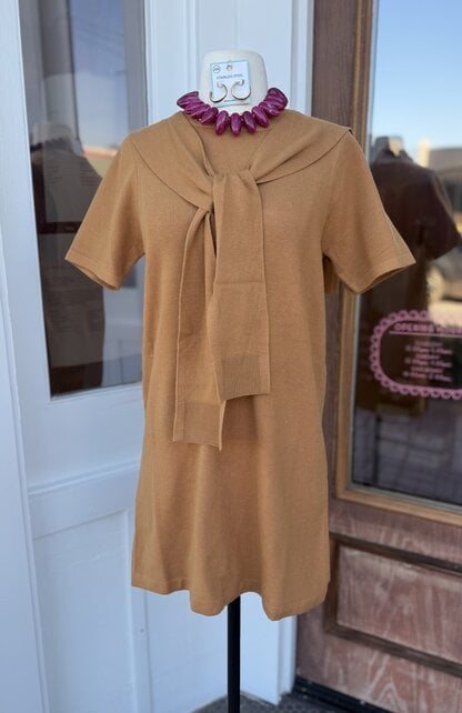 Pumpkin Spice Dress