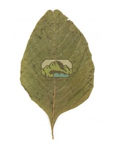 Newcal Pet NewCal Amaranth Leaves (20 Pack)