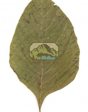 Newcal Pet NewCal Amaranth Leaves (20 Pack)