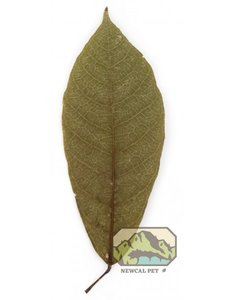 Newcal Pet NewCal Cocoa Leaves (10 Pack)