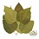 Newcal Pet NewCal Mulberry Leaves (10 Pack)
