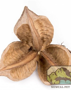 Newcal Pet NewCal Sorocco Flower Pod 4-5"