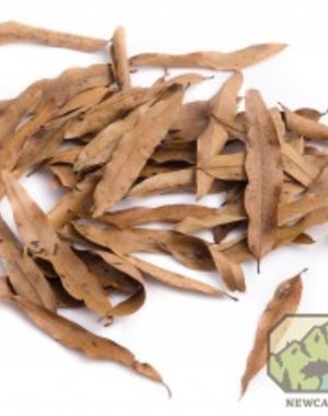 Newcal Pet NewCal Willow Oak Leaves