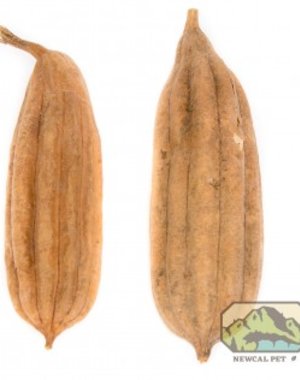 Newcal Pet NewCal Jhinga Pod (2 Pack)