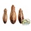 Newcal Pet NewCal Mahogany Pods (5 Pack)