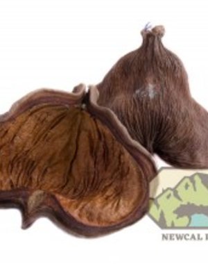 Newcal Pet NewCal Badam (Jungle) Pods (2 Pack)
