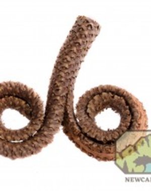 Newcal Pet NewCal Rams Head (Male Palm) 2 Pack