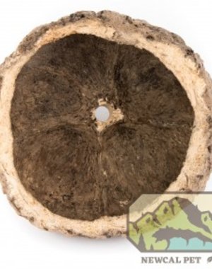 Newcal Pet NewCal Ourico Pod