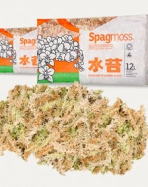 Besgrow Besgrow Spagmoss