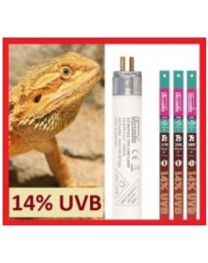 Arcadia Arcadia T5 HO Dragon Lamp 14% UVB Bulb