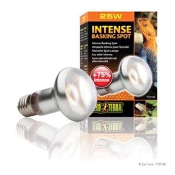 Exo Terra Exo Terra Intense Basking Spot Lamp